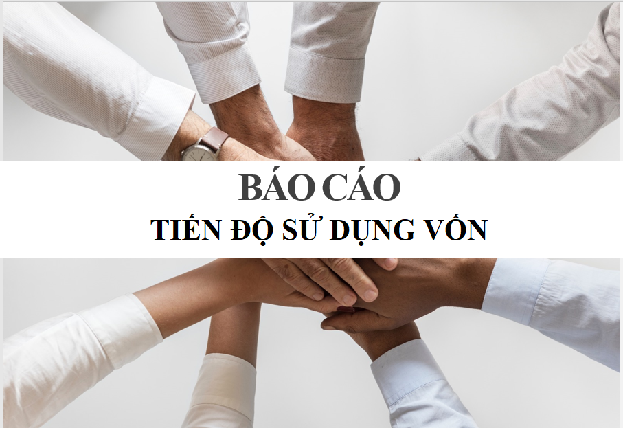 Báo cáo tiến độ sử dụng vốn thu được từ đợt chào bán chứng khoán ra công chúng - 6 tháng cuối năm 2019