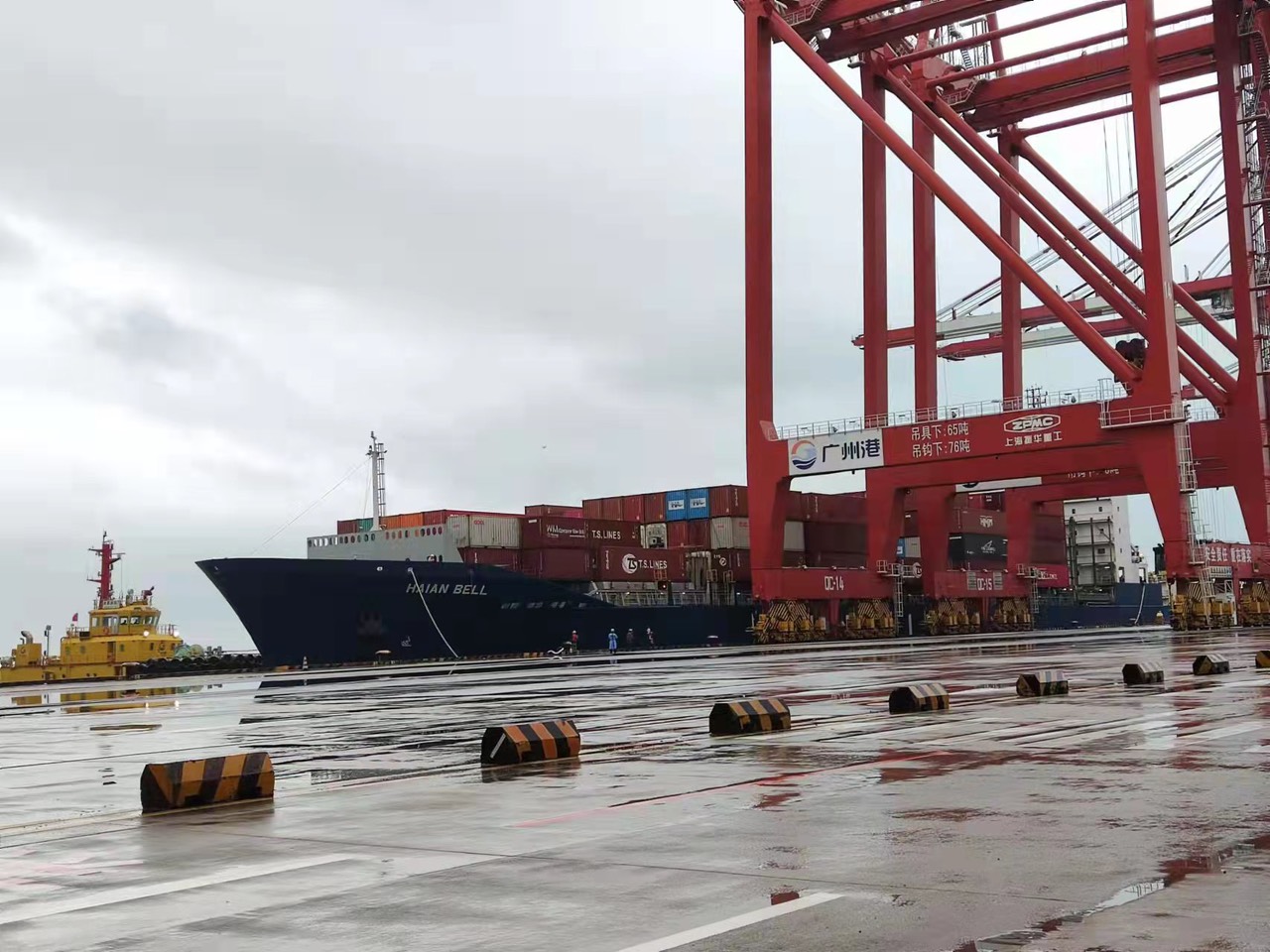 Opening the new service: HAI PHONG – HONG KONG – NANSHA – HAI PHONG